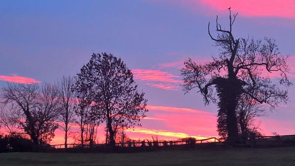 Champagne Sunset